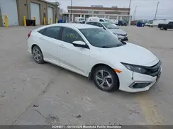 2HGFC2F59LH006736 2020 HONDA CIVIC