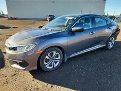 2HGFC2F60HH003725 2017 HONDA CIVIC