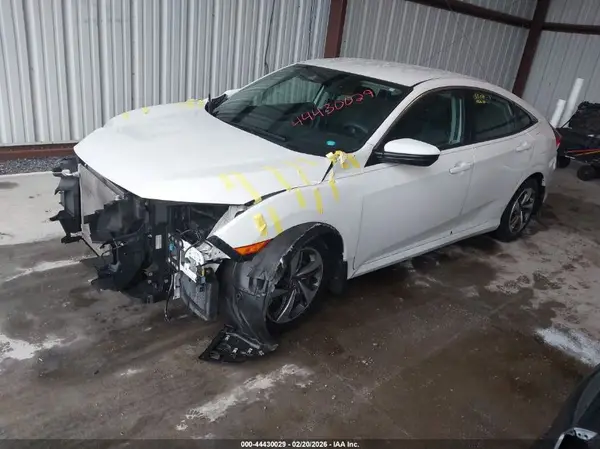 2HGFC2F60KH531952 2019 HONDA CIVIC - Image 2