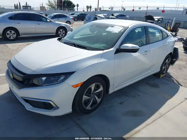 2HGFC2F60KH606343 2019 HONDA CIVIC - Image 2