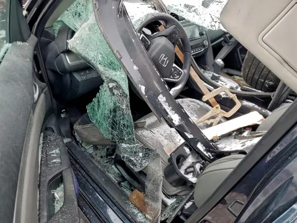 2HGFC2F61KH502069 2019 HONDA CIVIC - Image 8
