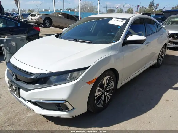 2HGFC2F61KH543995 2019 HONDA CIVIC - Image 2