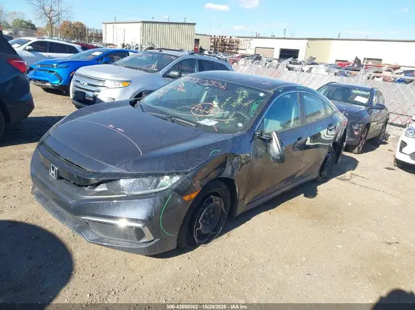 2HGFC2F61KH564412 2019 HONDA CIVIC - Image 2