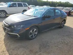 2HGFC2F61KH564460 2019 HONDA CIVIC