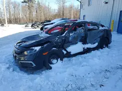 2HGFC2F61LH567893 2020 HONDA CIVIC