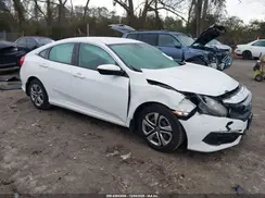 2HGFC2F62HH501179 2017 HONDA CIVIC