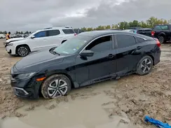 2HGFC2F62KH520161 2019 HONDA CIVIC