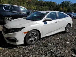2HGFC2F62KH553256 2019 HONDA CIVIC