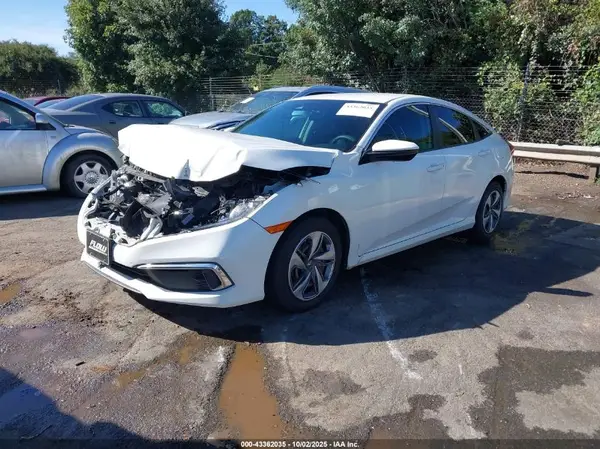 2HGFC2F62KH566332 2019 HONDA CIVIC - Image 2