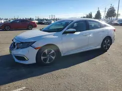 2HGFC2F64LH558282 2020 HONDA CIVIC