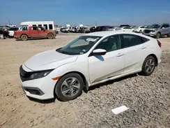 2HGFC2F66KH533026 2019 HONDA CIVIC