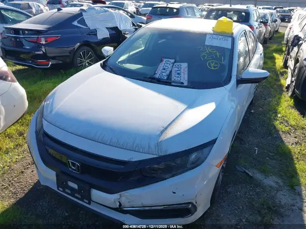 2HGFC2F66LH528765 2020 HONDA CIVIC - Image 2