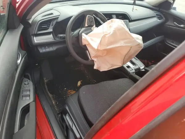 2HGFC2F67LH528175 2020 HONDA CIVIC - Image 8