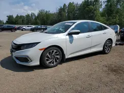 2HGFC2F70LH013916 2020 HONDA CIVIC