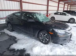 2HGFC2F71HH562256 2017 HONDA CIVIC