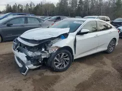 2HGFC2F71KH004172 2019 HONDA CIVIC