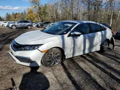 2HGFC2F71KH027239 2019 HONDA CIVIC