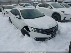 2HGFC2F73LH004529 2020 HONDA CIVIC