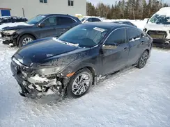 2HGFC2F75LH007934 2020 HONDA CIVIC