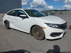 2HGFC2F76KH032081 2019 HONDA CIVIC