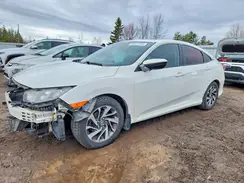 2HGFC2F80HH007713 2017 HONDA CIVIC