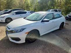 2HGFC2F80HH017254 2017 HONDA CIVIC