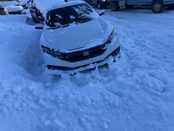 2HGFC2F80KH014538 2019 HONDA CIVIC - Image 6