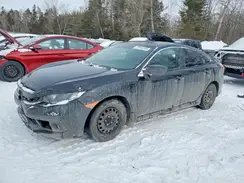 2HGFC2F80LH028392 2020 HONDA CIVIC