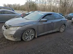 2HGFC2F81KH023457 2019 HONDA CIVIC