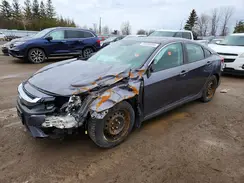 2HGFC2F86HH037413 2017 HONDA CIVIC