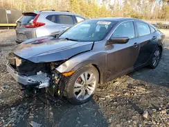 2HGFC2F8XLH534165 2020 HONDA CIVIC