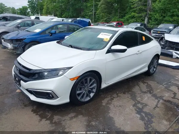 2HGFC3B37KH352504 2019 HONDA CIVIC - Image 2