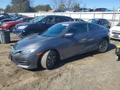 2HGFC4B01HH311239 2017 HONDA CIVIC