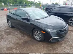 2HGFC4B61KH301970 2019 HONDA CIVIC