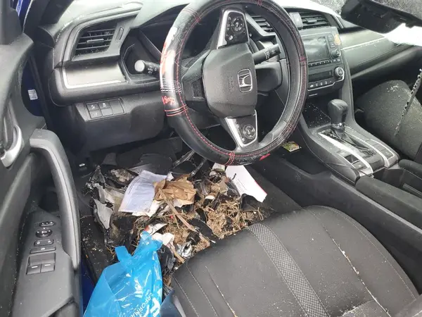 2HGFC4B67LH303126 2020 HONDA CIVIC - Image 8