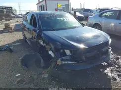 2HGFE1F76RH301632 2024 HONDA CIVIC