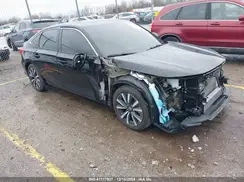 2HGFE1F77RH339242 2024 HONDA CIVIC