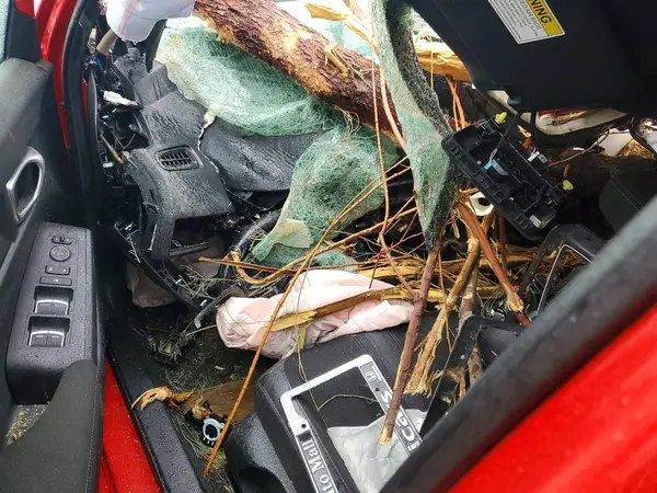 2HGFE2F52SH536975 2025 HONDA CIVIC - Image 8