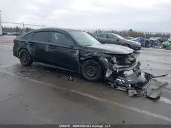 2HGFE2F5XPH101256 2023 HONDA CIVIC