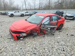 2HGFE2F5XRH508593 2024 HONDA CIVIC
