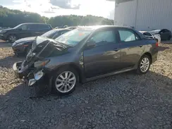 2T1BU4EE0AC237183 2025 TOYOTA COROLLA
