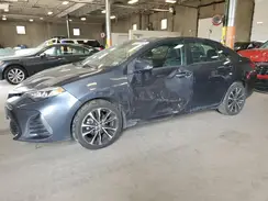 2T1BURHE0KC187556 2019 TOYOTA COROLLA