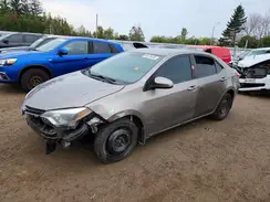 2T1BURHE1GC556920 2016 TOYOTA COROLLA