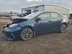 2T1BURHE1HC795031 2017 TOYOTA COROLLA
