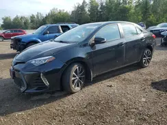 2T1BURHE1HC878944 2017 TOYOTA COROLLA