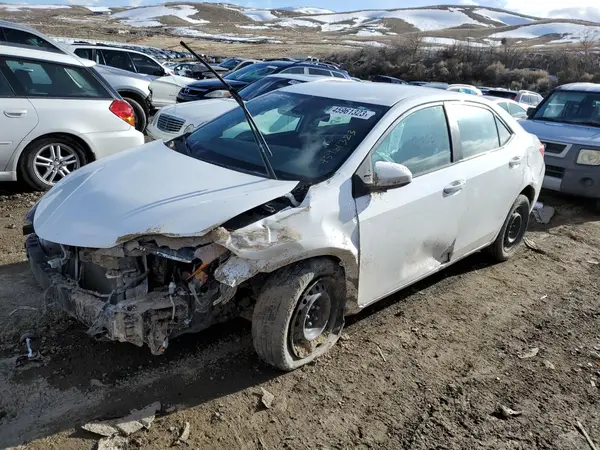 2T1BURHE3KC230531 2019 TOYOTA COROLLA - Image 1