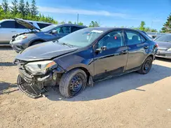 2T1BURHE4GC729961 2016 TOYOTA COROLLA