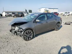 2T1BURHE5HC807827 2017 TOYOTA COROLLA