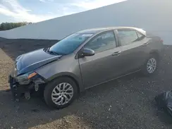 2T1BURHE6KC163455 2019 TOYOTA COROLLA