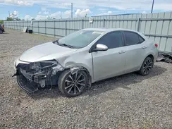 2T1BURHE6KC239272 2019 TOYOTA COROLLA